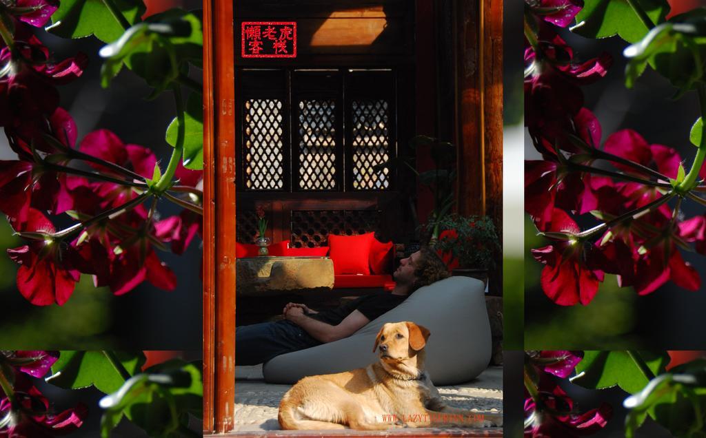 Lazy Tiger Inn Λιγιάνγκ Εξωτερικό φωτογραφία